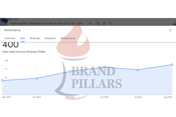 Google Business Profile Insight 15 - Brand Pillars